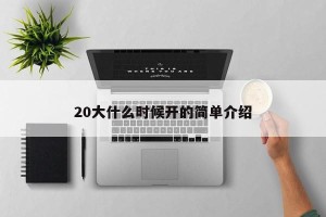 20大什么时候开的简单介绍